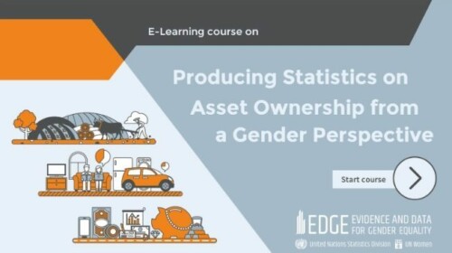 Producing Statistics on Asset Ownership from a Gender Perspective
