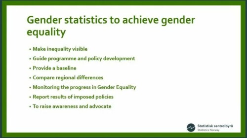 Telling stories with gender statistics
