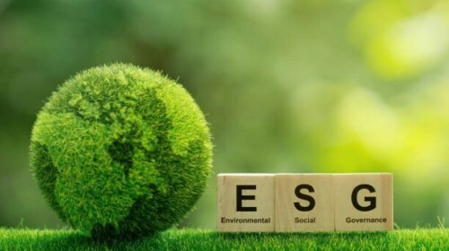 ESG Frameworks for Public Officials