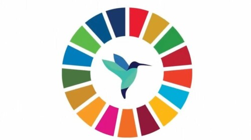 Driving Business towards the SDGs