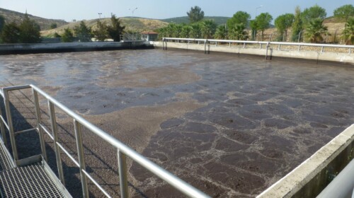Introduction to Treatment of Tannery Effluents
