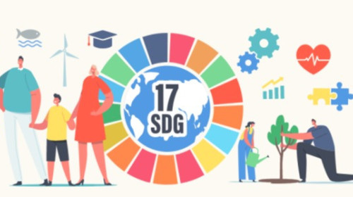 Using the SDGs for Government Action