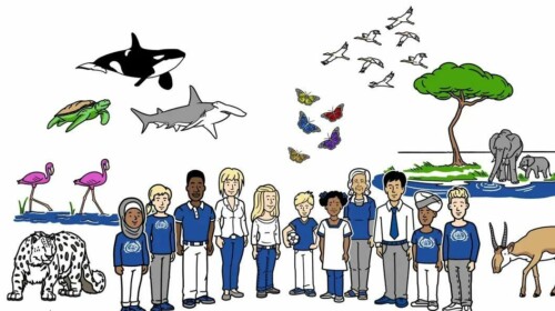 Why do we need to protect the world's migratory animals? - Explainer video